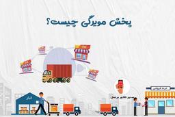 منظور از پخش مویرگی چیست و مناسب چه کسب و کارهایی است؟