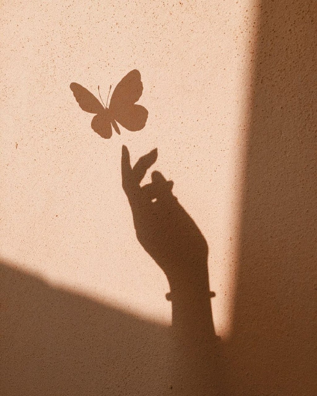 هی تو که رفتی !