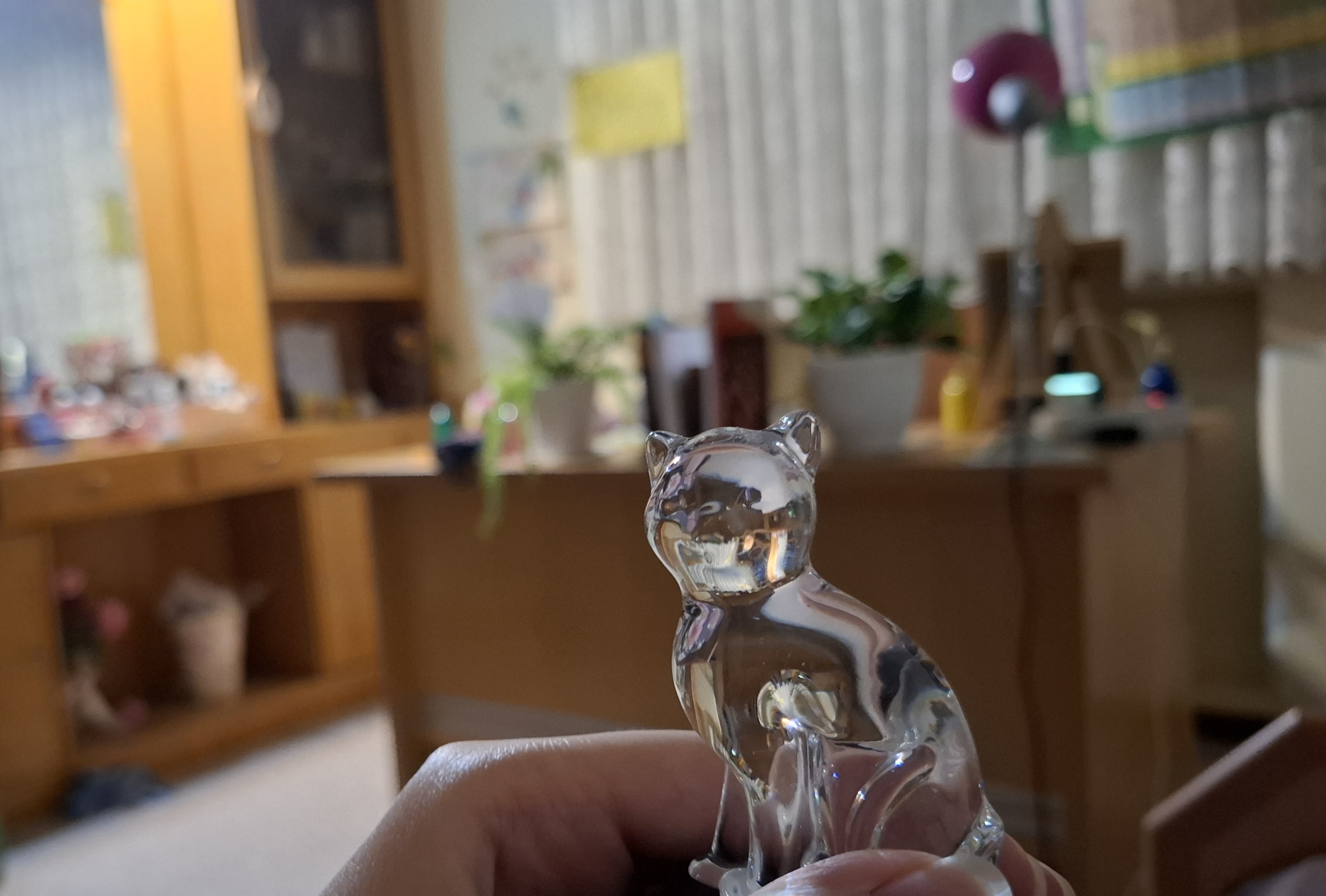 گربه کریستالی؛ دوستی که در تولد ۶ سالگی هدیه اش گرفتم.