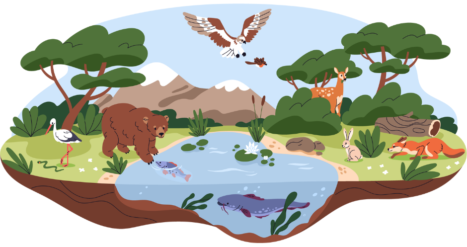 اکوسیستم (Ecosystem)