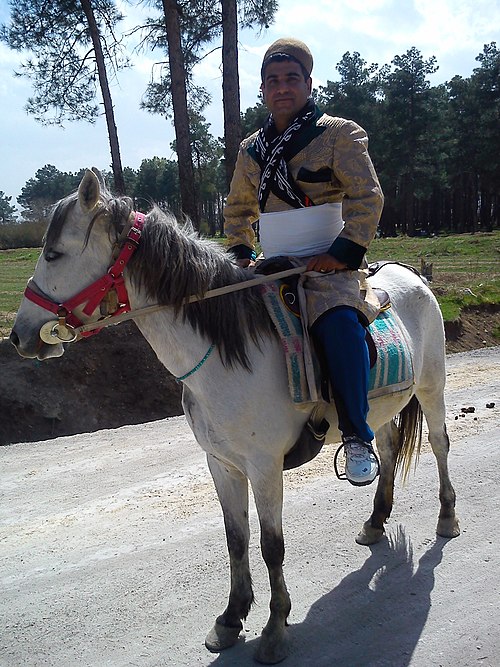 لباس مردانه لکی