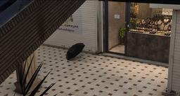 چتری که جا ماند..