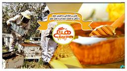 هنگی بی استارتاپی به شیرینی عسل؛با نگاهی به صنعت زنبورداری