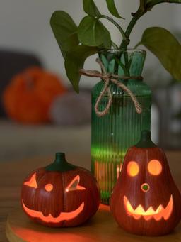 روز های عجیب، شب های دلهره