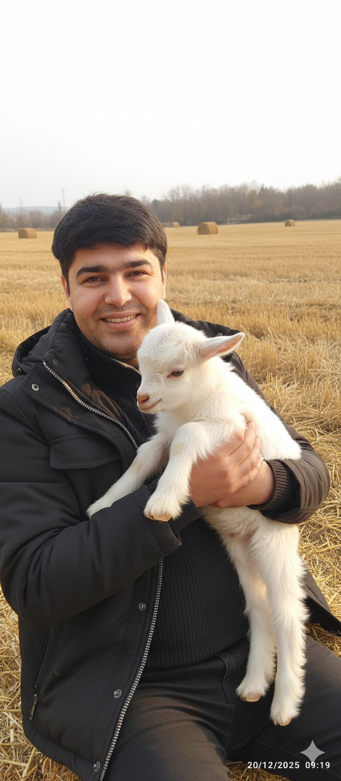 حسین هادی پور