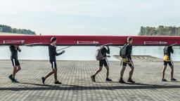 ۴ سوال کلیدی برای اینکه بفهمی این تصمیم رو باید خودت بگیری یا بسپاری به تیم؟