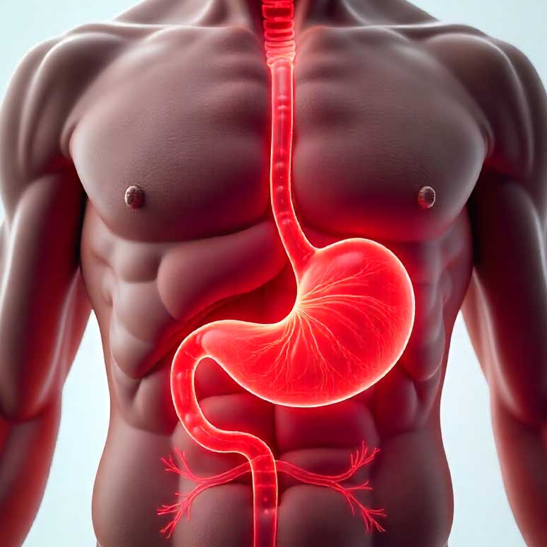 محل دقیق درد معده: قسمت بالای مرکز شکم، دقیقاً زیر استخوان دندهها و بالای ناف