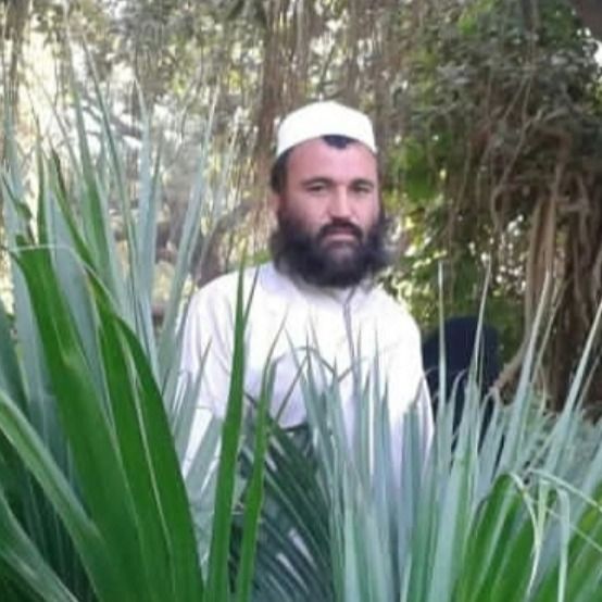 قاری نورالدین تولکیچی