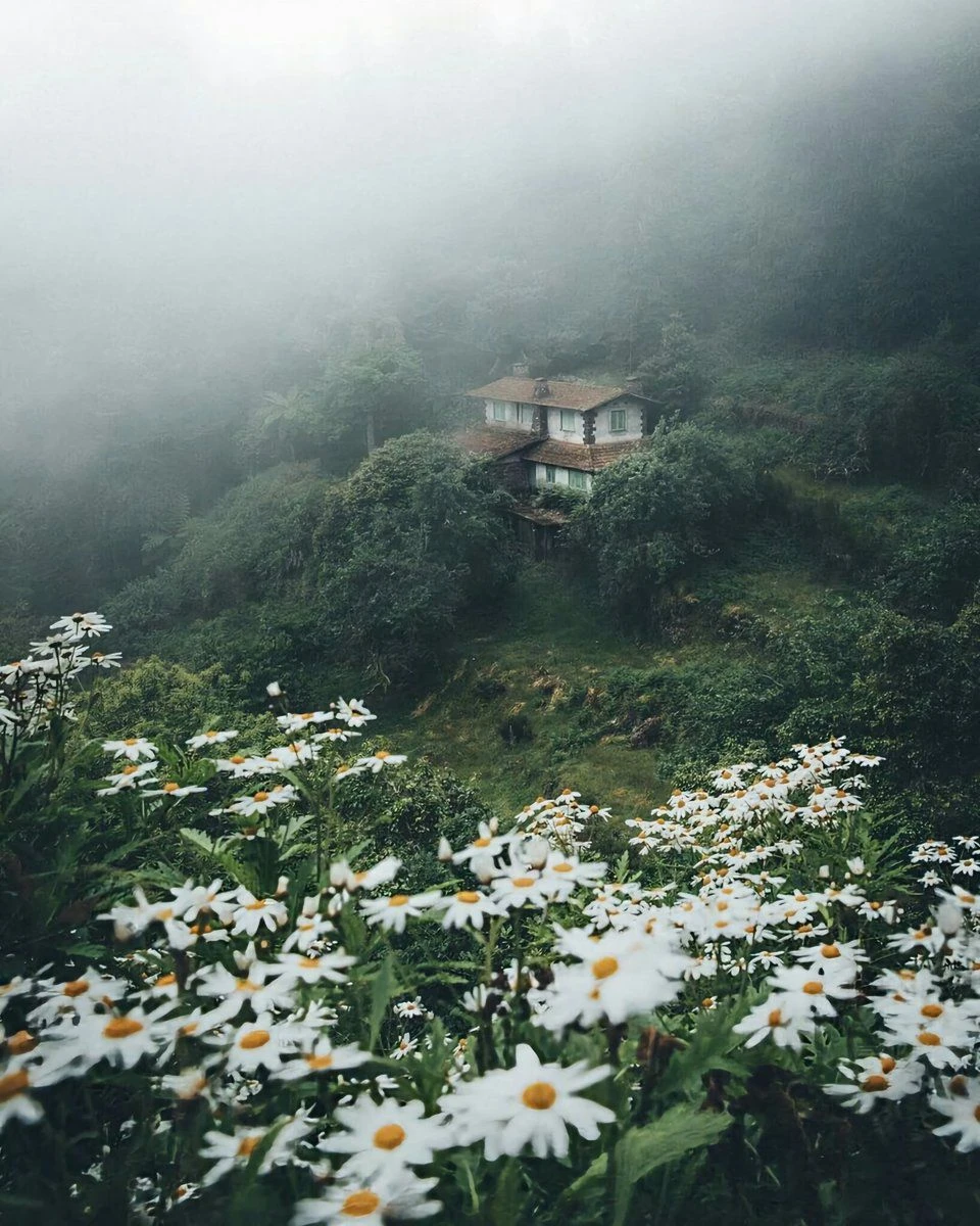 نیازه حتما عکس به متن مرتبط باشه؟