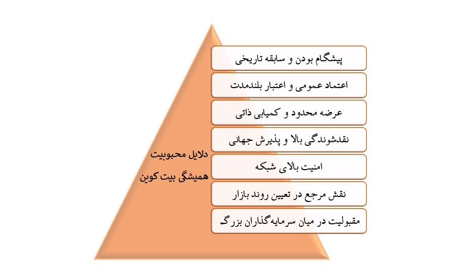 دلایل محبوبیت بیت کوین