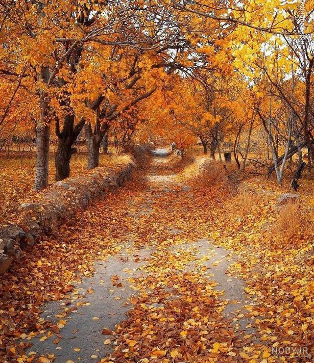 پاییز🍁