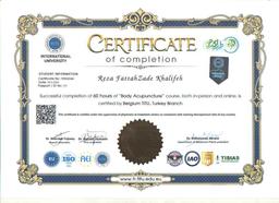 مدرک دانشگاه بلژیک (واحد ترکیه) – دوره Body Acupuncture