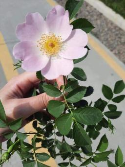 از امروز مینویسم!