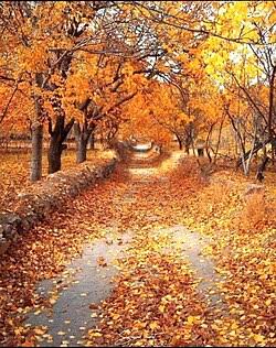 پاییز قسمت دو