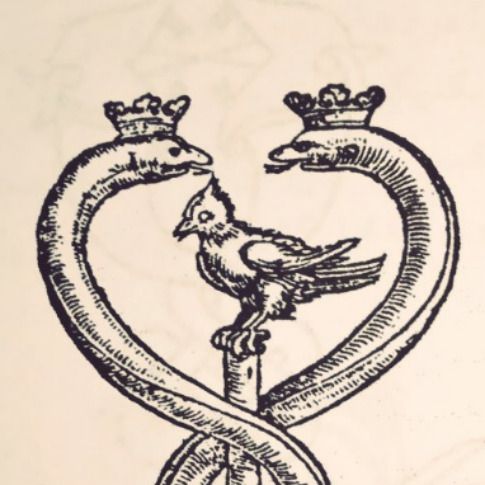 م. حجازی مغان‌لو