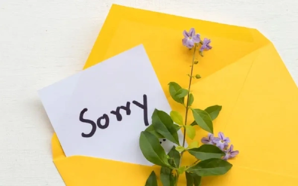 عذرخواهی: سفری از توبه تا تردید