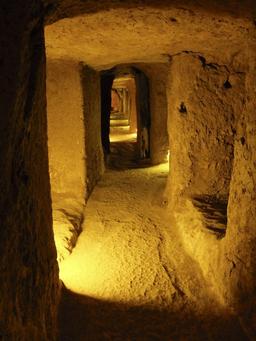 سیر تحول زیرزمین در معماری ایران از منظر اقلیم، اسطوره و باورهای عامیانه