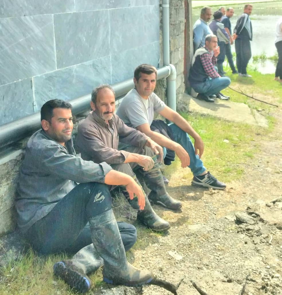 شروع کار شورای ویزنه