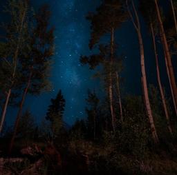 نجات(بخش چهارم)