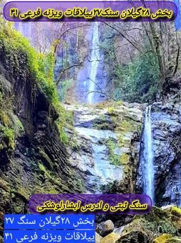 ویزنه مهدی درویشی