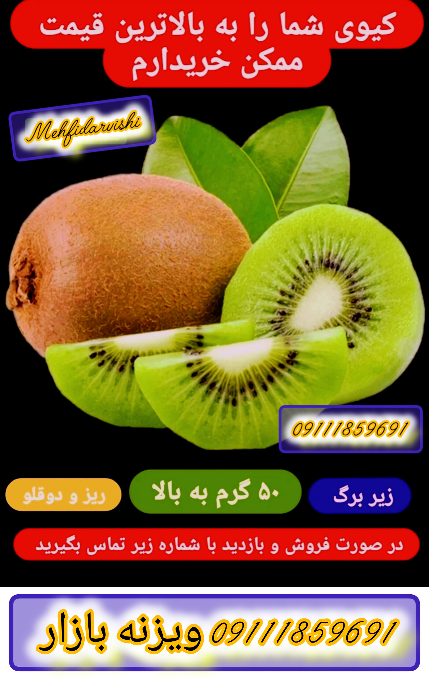 گروه رهابهسازان تجارت درویشی ویزنه