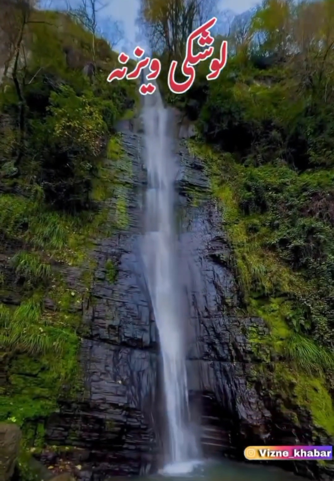 ابشارلوشکی ویزنه