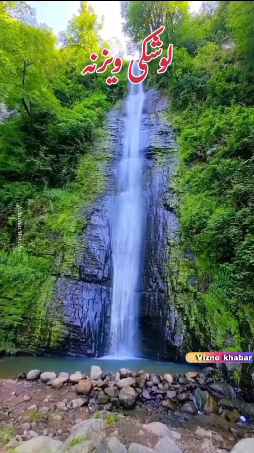 ابشارلوشکی ویزنه