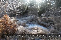 چگونه از باغچه زمستانی خود لذت ببریم.