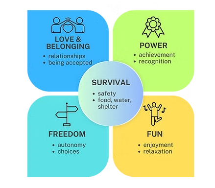 5 نیاز اساسی در نظریه انتخاب