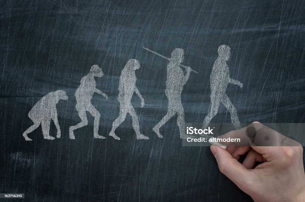 چرا انسان ها حاضرند هم نوع خود را بکشند اما حیوانات نه؟!