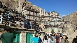 دانای سیمیار