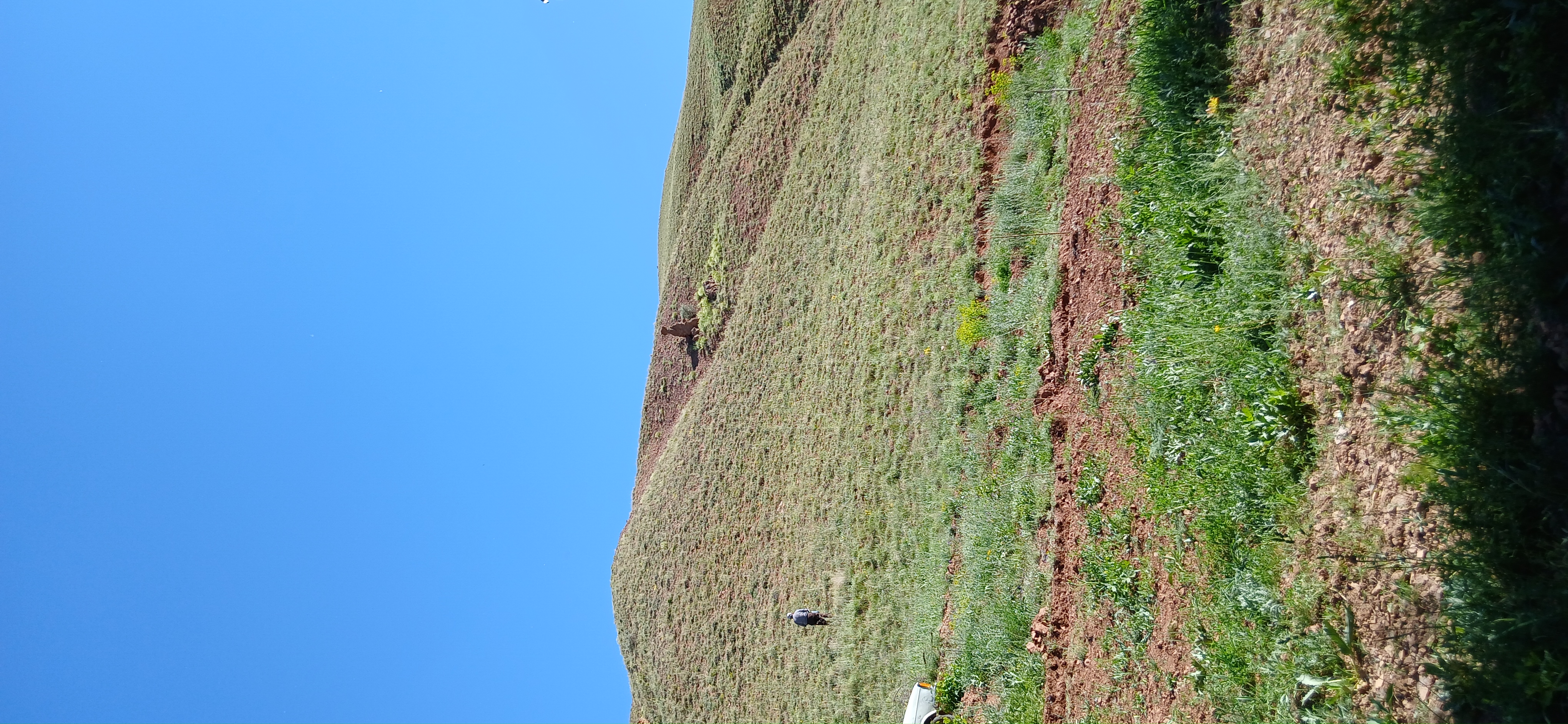 کرج.برغان.سنج.سرهه