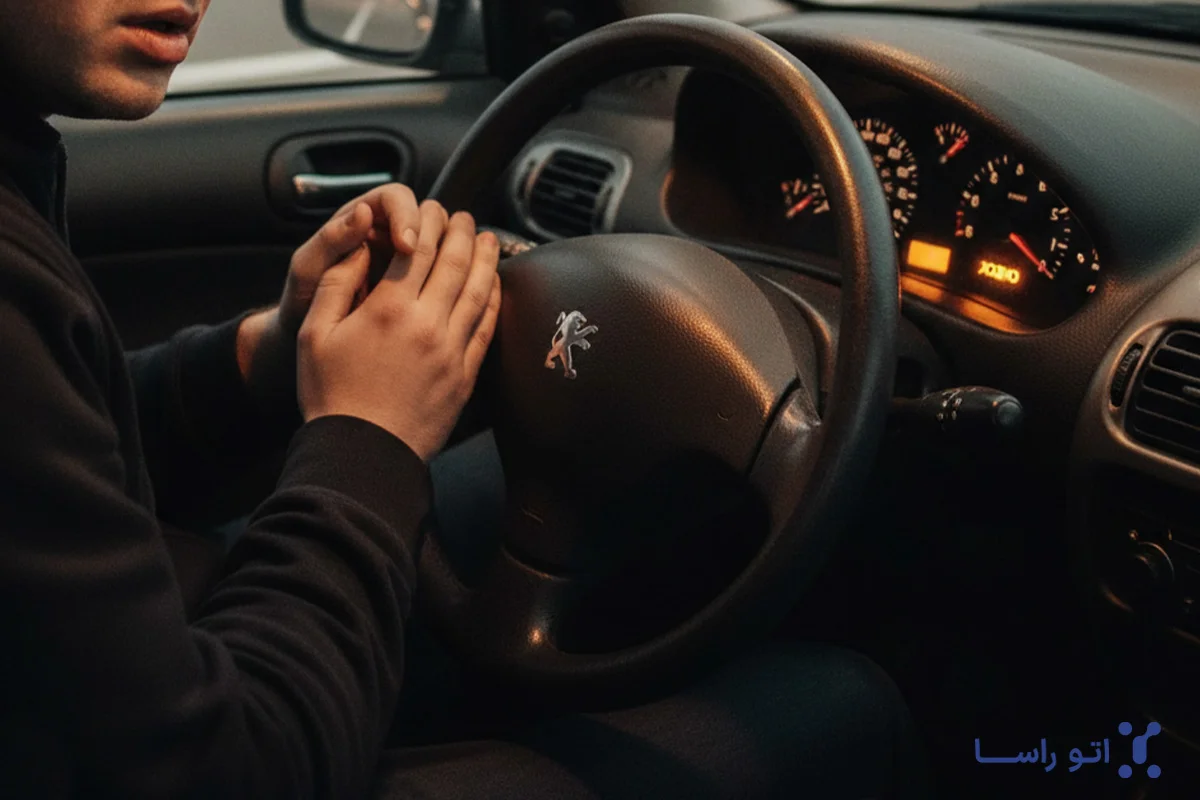 چرا چراغ چک 206 روشن میشود؟