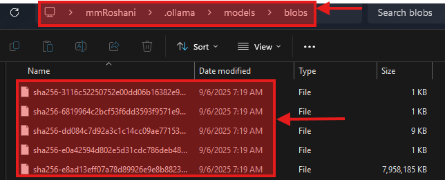مسیر C:\Users\mmRoshani\.ollama\models\blobs