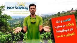 کار داوطلبانه Workaway چیست؟ با تجربه واقعی