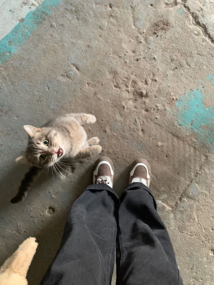 خراش روی قلب، خراش زیر چشم