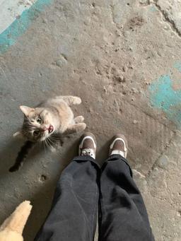 خراش روی قلب، خراش زیر چشم