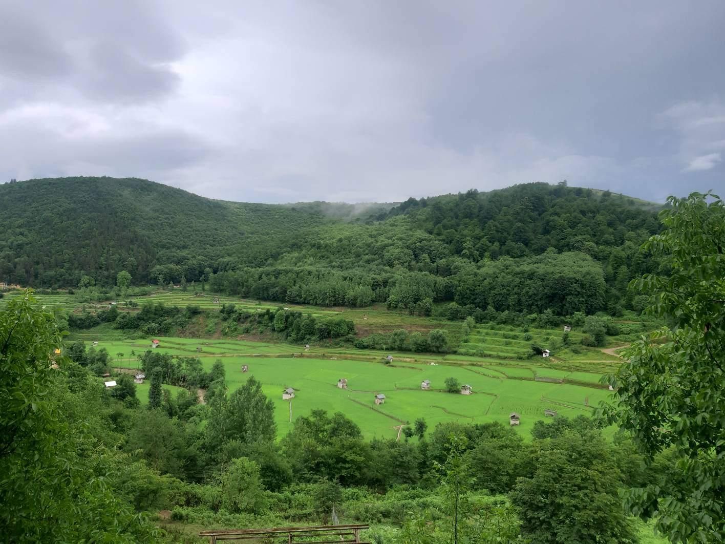 خودمونی- کچید- ویواقامتگاه کاملا جنگل