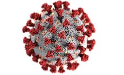 ازون و کرونا