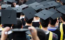 موج بلند مهاجرت