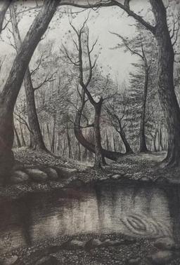 باتلاق سیاه