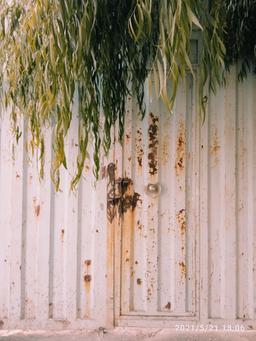 خیال واقعی!