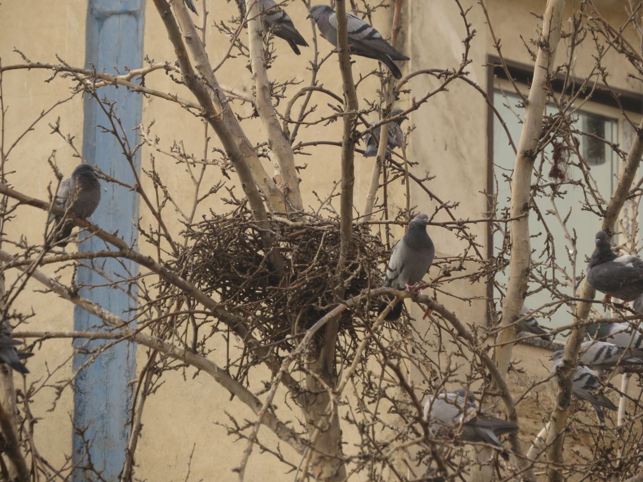 (اینم برای ژوژمان انتخاب شد) وقتی معلم این رو انتخاب کرد خیلی فشار خوردم چون در طول ترم کلی عکس قشنگ گرفته بودم و اینو اخر ترم وقتی معلم گفته بود این جلسه نمیخواد عکس بگیرید گرفتم چون بنظرم صحنه قشنگی بود و همینجوری گرفتم، باورم نمیشد اینو انتخاب کنه، حتی خودمم فکر نمیکردم عکس قشنکی باشه، چطور تونست بین عکس ماهم و این، اینو انتخاب کنهههههه، اهان بزارید عکس ماهمو نشون بدم