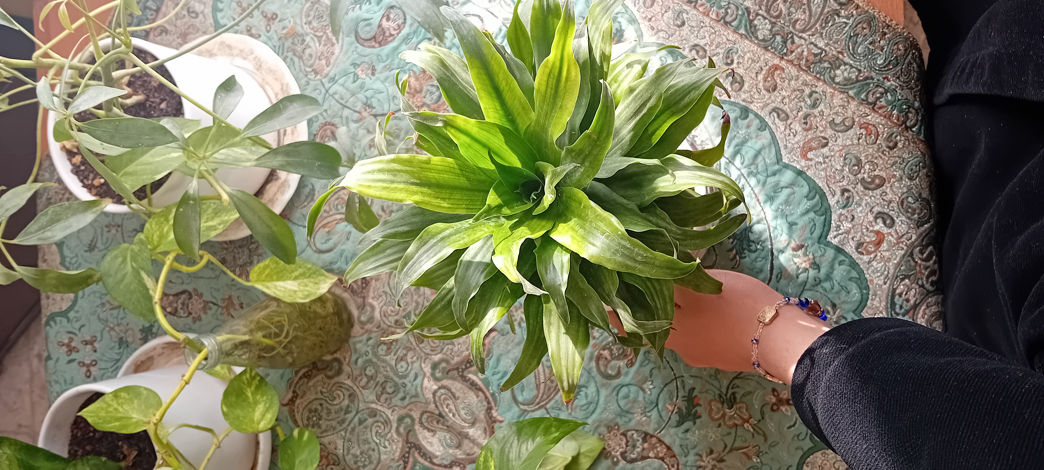 کنجِ زیستن🌧