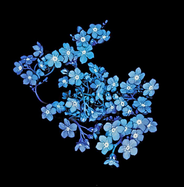 گل فراموشم مکن،نماد فداکاری و یادآوری عشقی که در دل داری:)