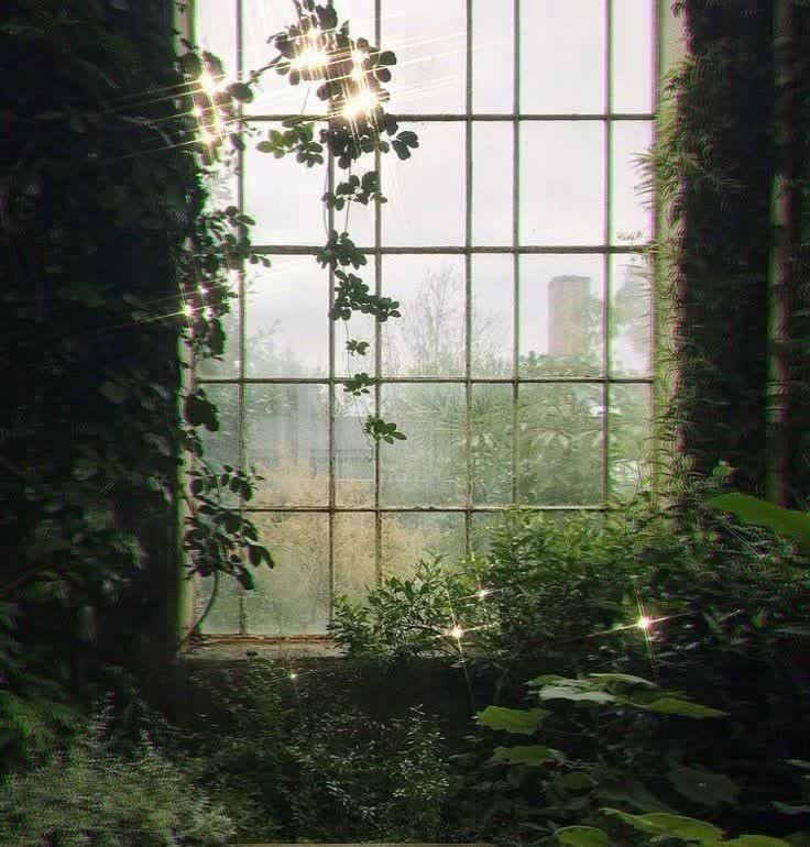 مایل به فرار بسوی سبزینگی؟