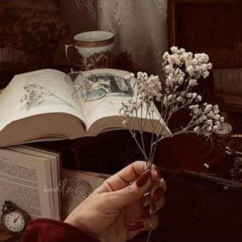 آموزگارِ خیال🌱