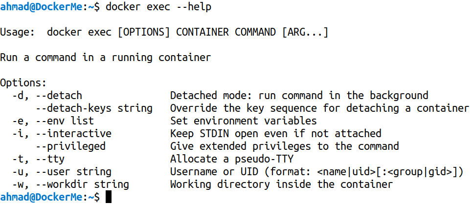 docker exec --help 