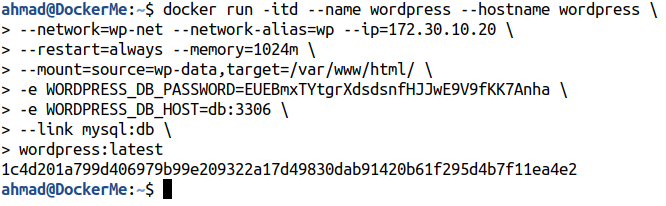 docker run wordpress container 