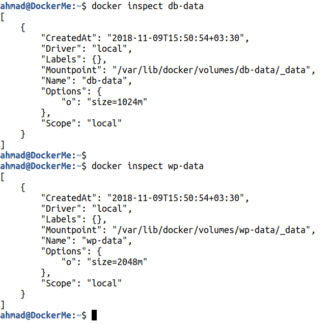 docker inspect volume